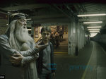 31/50  - Harry Potter a Princ dvojí krve (2009) - FOTOGALERIE Z FILMU A NATÁČENÍ