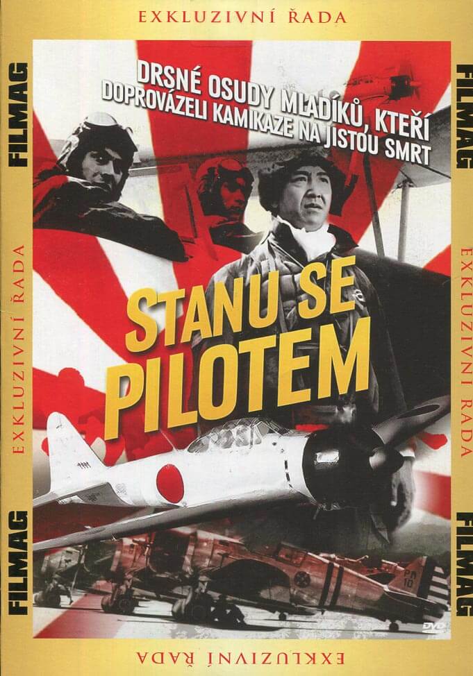 Levně Stanu se pilotem (DVD) (papírový obal)