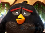 10/12  - Angry Birds ve filmu (2016) - FOTOGALERIE - FILM