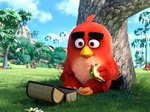 11/12  - Angry Birds ve filmu (2016) - FOTOGALERIE - FILM