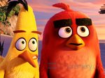 12/12  - Angry Birds ve filmu (2016) - FOTOGALERIE - FILM