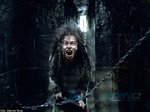 149/168  - Harry Potter a Fénixův řád (2007) - FOTOGALERIE Z FILMU A NATÁČENÍ