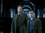 69/168  - Harry Potter a Fénixův řád (2007) - FOTOGALERIE Z FILMU A NATÁČENÍ