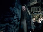 72/168  - Harry Potter a Fénixův řád (2007) - FOTOGALERIE Z FILMU A NATÁČENÍ