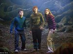6/168  - Harry Potter a Fénixův řád (2007) - FOTOGALERIE Z FILMU A NATÁČENÍ