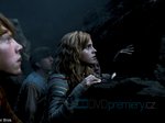 79/168  - Harry Potter a Fénixův řád (2007) - FOTOGALERIE Z FILMU A NATÁČENÍ