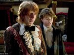 5/96  - Harry Potter a Ohnivý pohár (2005) - FOTOGALERIE Z FILMU A NATÁČENÍ