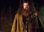 78/96  - Harry Potter a Ohnivý pohár (2005) - FOTOGALERIE Z FILMU A NATÁČENÍ