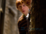 24/50  - Harry Potter a Princ dvojí krve (2009) - FOTOGALERIE Z FILMU A NATÁČENÍ