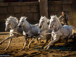 10/36  - Ben Hur (2016) - FOTOGALERIE Z FILMU A NATÁČENÍ