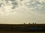 9/52  - Sedm statečných (2016) - FOTOGALERIE Z FILMU A NATÁČENÍ