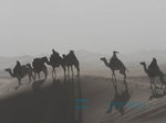 1/11  - Královna pouště (2015)- FOTOGALERIE Z FILMU A NATÁČENÍ