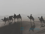 1/11  - Královna pouště (2015)- FOTOGALERIE Z FILMU A NATÁČENÍ