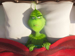 17/28  - Grinch (2018) - FOTOGALERIE Z FILMU