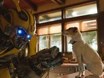 46/47  - Bumblebee (2018) - FOTOGALERIE Z FILMU