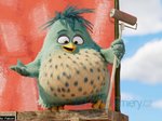 1/16  - Angry Birds ve filmu 2 (2019) - FOTOGALERIE Z FILMU