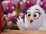 5/16  - Angry Birds ve filmu 2 (2019) - FOTOGALERIE Z FILMU