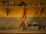 10/16  - Cats (2019) - FOTOGALERIE Z FILMU