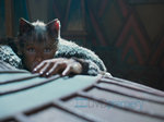 11/16  - Cats (2019) - FOTOGALERIE Z FILMU