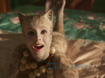 13/16  - Cats (2019) - FOTOGALERIE Z FILMU