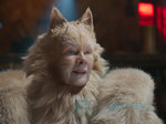 14/16  - Cats (2019) - FOTOGALERIE Z FILMU