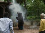 8/19  - MEDVĚD NA KOKSU (2023) - FOTOGALERIE Z FILMU © Universal Pictures