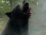 16/19  - MEDVĚD NA KOKSU (2023) - FOTOGALERIE Z FILMU © Universal Pictures