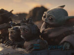 12/44  - Mandalorian a Grogu - ze světa Star Wars (2026) - FOTOGALERIE Z FILMU