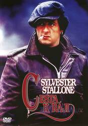 Cesta k ráji (DVD)