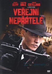 Veřejní nepřátelé (DVD)