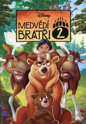 Medvědí bratři 2 (DVD)