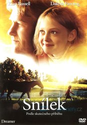 Snílek (DVD)