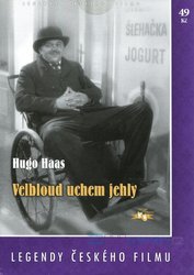 Velbloud uchem jehly (DVD) (papírový obal)