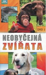 Neobyčejná zvířata kolekce (3 DVD) (papírový obal) - BBC seriál