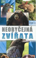 Neobyčejná zvířata kolekce (3 DVD) (papírový obal) - BBC seriál