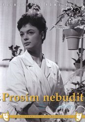 Prosím nebudit (DVD)