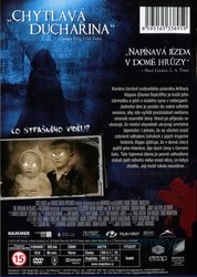 Žena v černém (DVD)