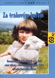 Za trnkovým keřem (DVD) (papírový obal)