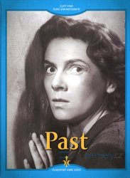Past (DVD) - digipack