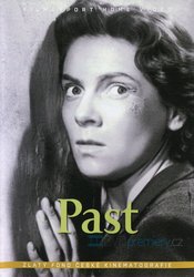 Past (DVD)