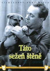 Táto sežeň štěně (DVD)