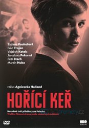 Hořící keř (2 DVD) - TV minisérie