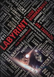 Labyrint (DVD) - český film