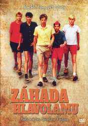 Záhada hlavolamu (DVD) - celovečerní film