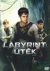 Labyrint: Útěk (DVD)