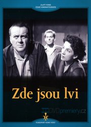 Zde jsou lvi (DVD) - digipack