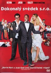 Dokonalý svědek s.r.o. (DVD)