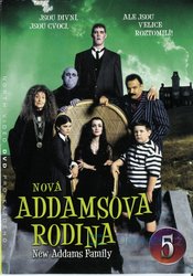 Nová Addamsova rodina 2 - kolekce (4xDVD) (papírový obal)