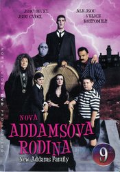 Nová Addamsova rodina 3 - kolekce (4xDVD) (papírový obal)