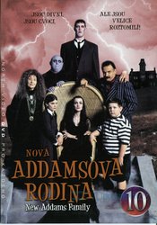 Nová Addamsova rodina 3 - kolekce (4xDVD) (papírový obal)